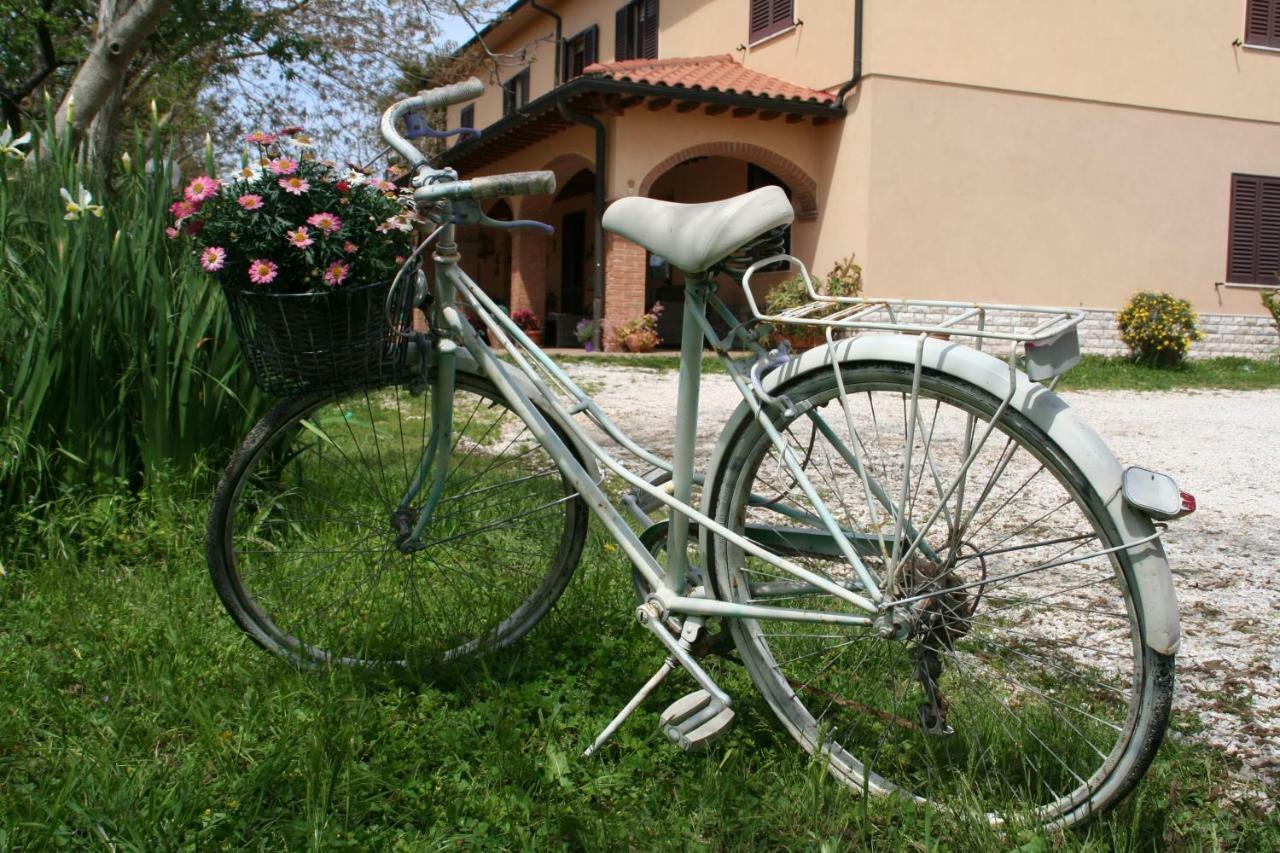 Agriturismo Diciocco Вентурина Терме Екстериор снимка